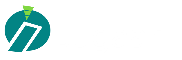 Jugaari